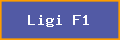Ligi F1